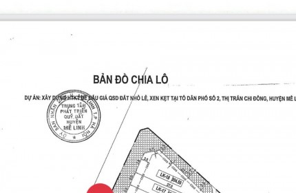 Cc cần bán gấp 2 lô đất đấu giá trục đường Chi Đông - TT Chi Đông buôn bán cực sầm uất đường cực rộng